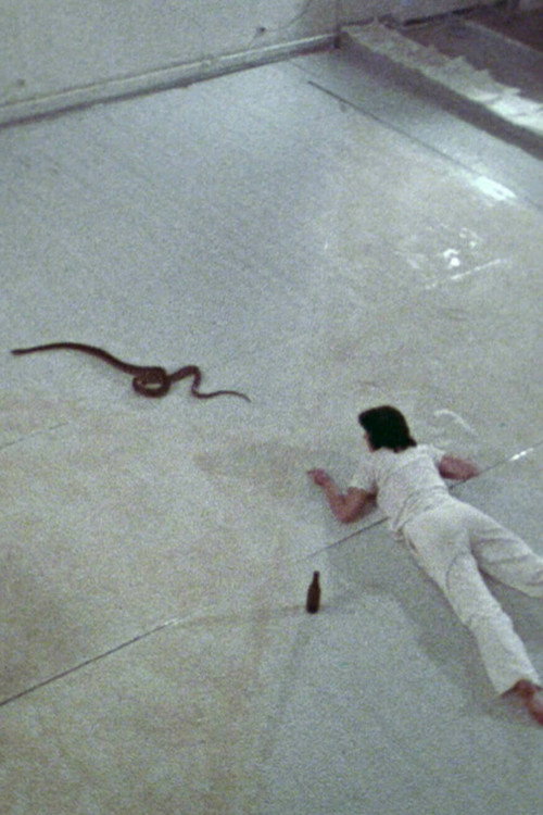 Movie poster for Three (1978)