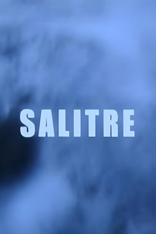 Movie poster for Salitre (2005)