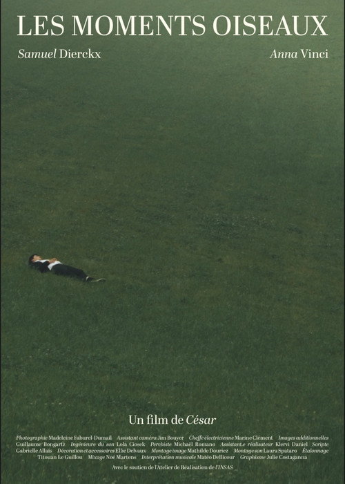 Movie poster for Les Moments Oiseaux (2026)