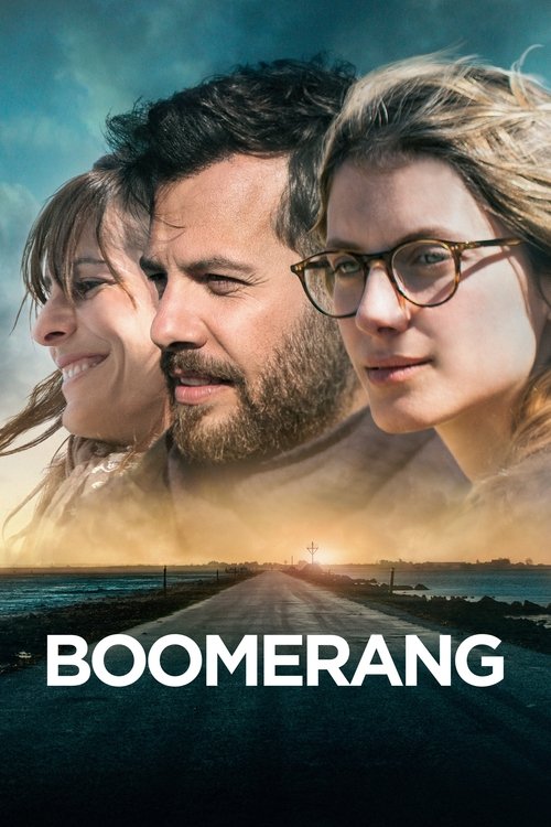 Movie poster for Boomerang (2015)