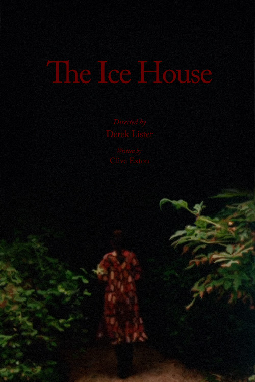 Movie poster for The Ice House (1978)