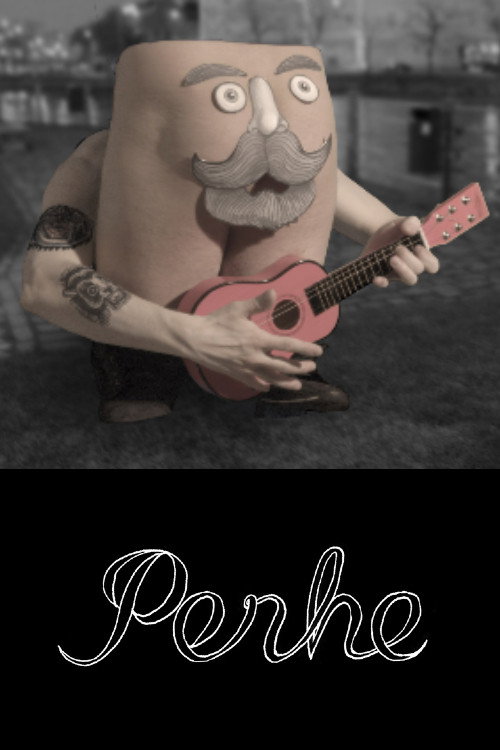 Movie poster for Perhe (2013)