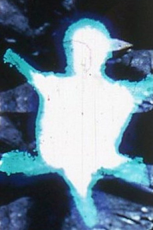Movie poster for Turtle (1969)