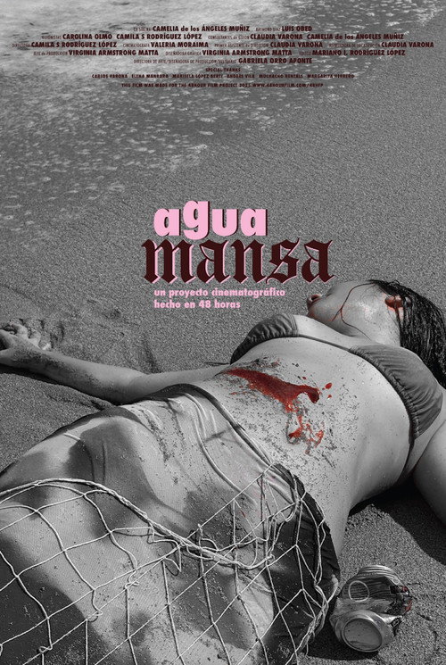 Movie poster for Agua Mansa