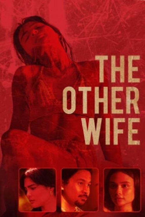 Movie poster for The Other Wife (2021)