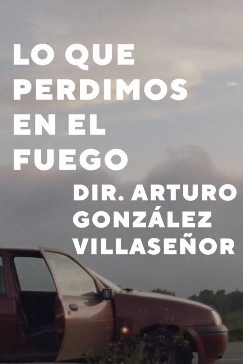 Movie poster for Lo que perdimos en el fuego (2024)