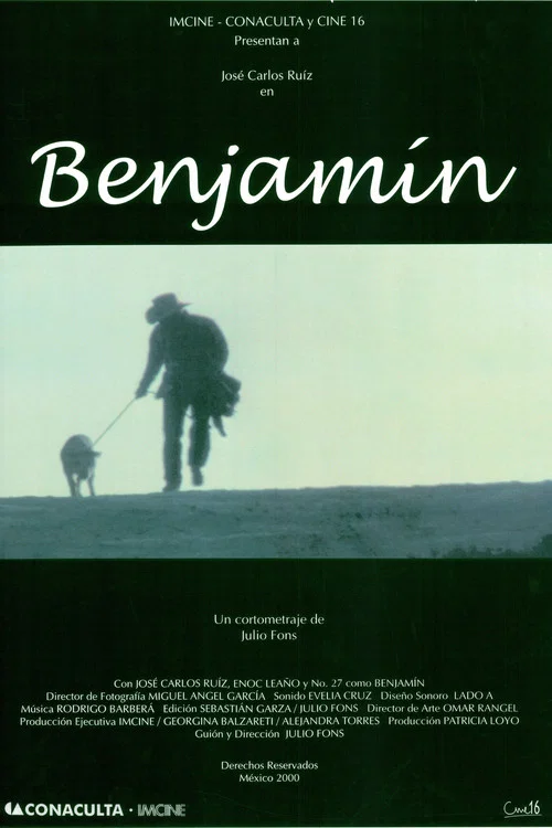Movie poster for Benjamín (2002)