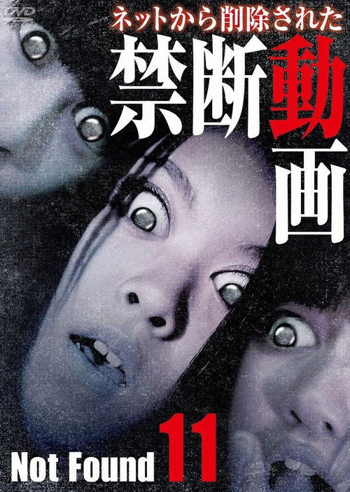 Movie poster for Not Found 11 (2013)