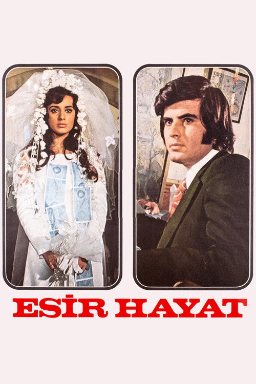 Movie poster for Esir Hayat (1974)