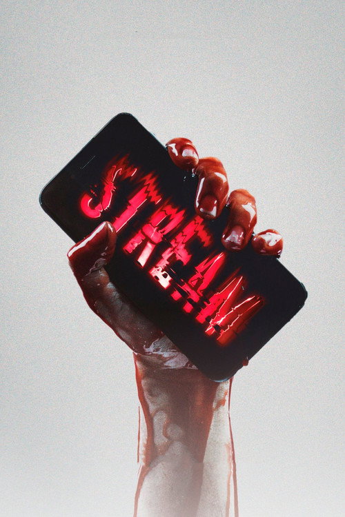 Movie poster for Stream (2024)