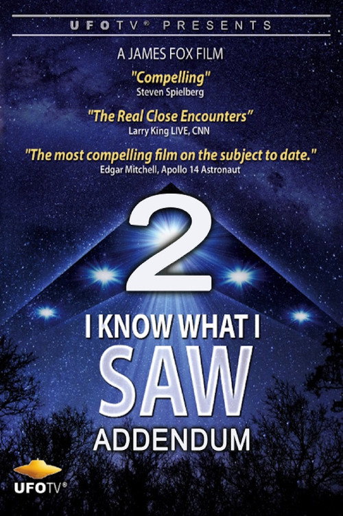 Movie poster for I Know What I Saw Part 2 Addendum (2017)