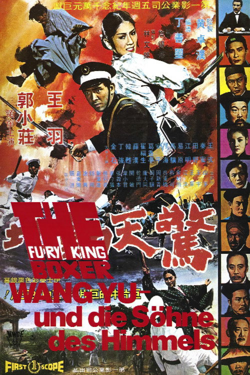 Movie poster for Fury of King Boxer (1972)