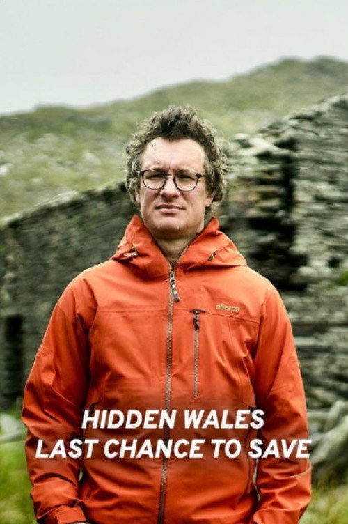 Movie poster for Hidden Wales: Last Chance to Save (2022)