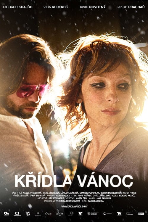 Movie poster for Wings of Christmas (2013)
