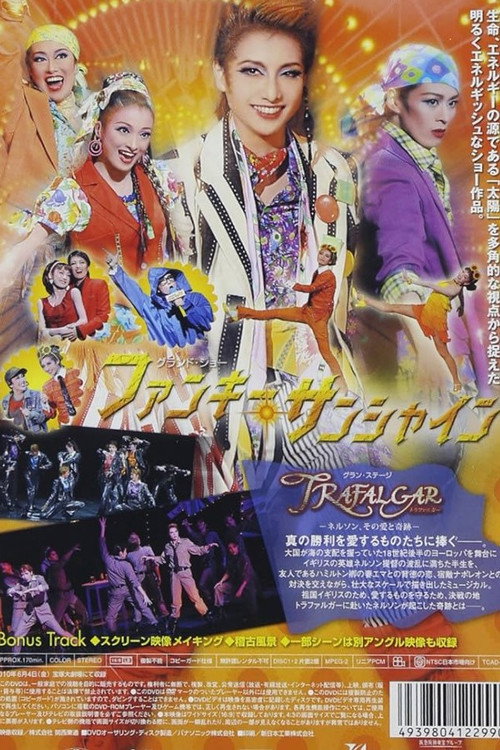 Movie poster for Funky Sunshine (2010)