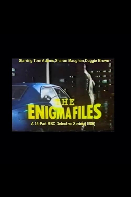 The Enigma Files poster