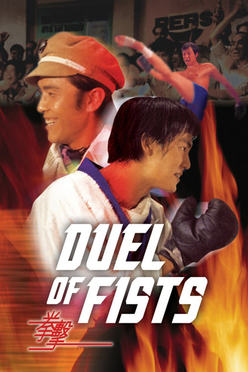 Movie poster for Duel of Fists (1971)
