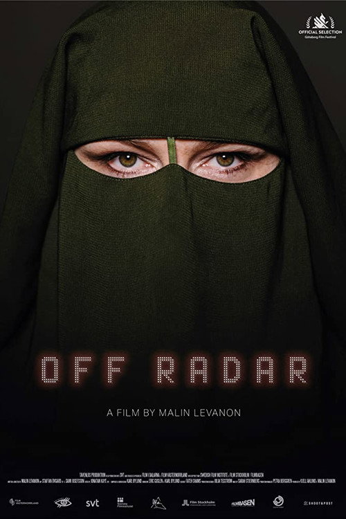 Movie poster for Off Radar (2020)