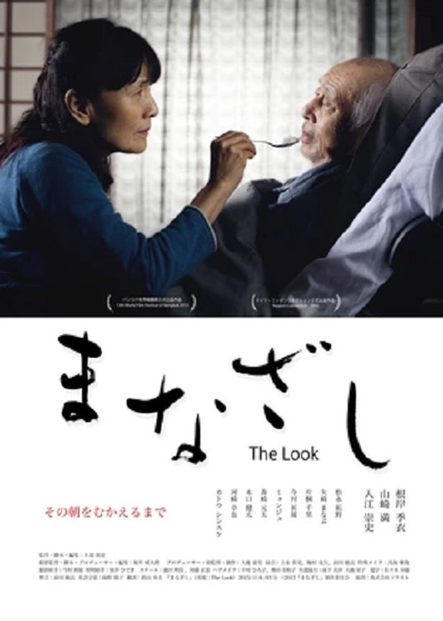 Movie poster for The Look (2015)