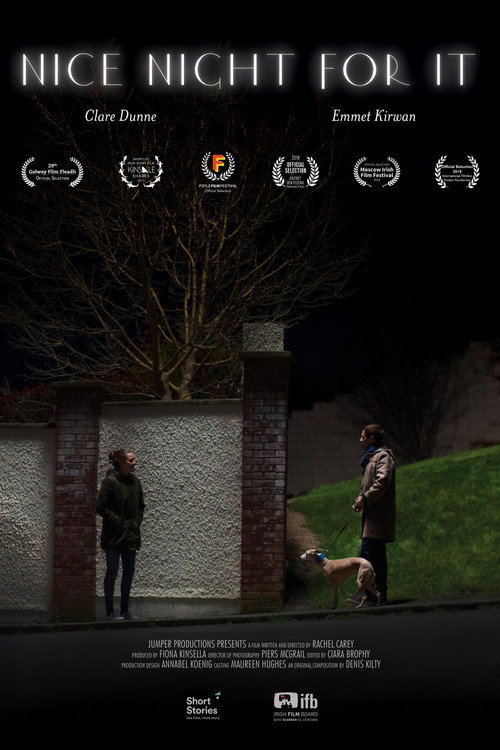 Movie poster for Nice Night for It (2017)