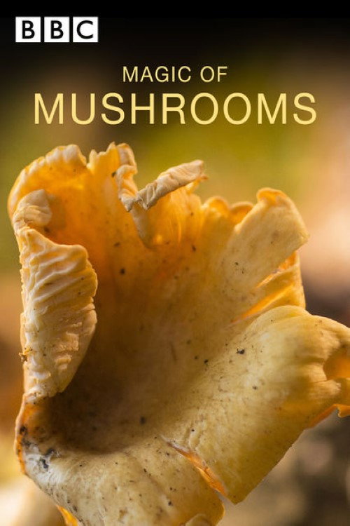 Movie poster for The Magic of Mushrooms (2014)