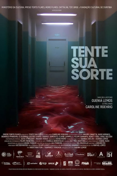 Movie poster for Tente Sua Sorte (2025)
