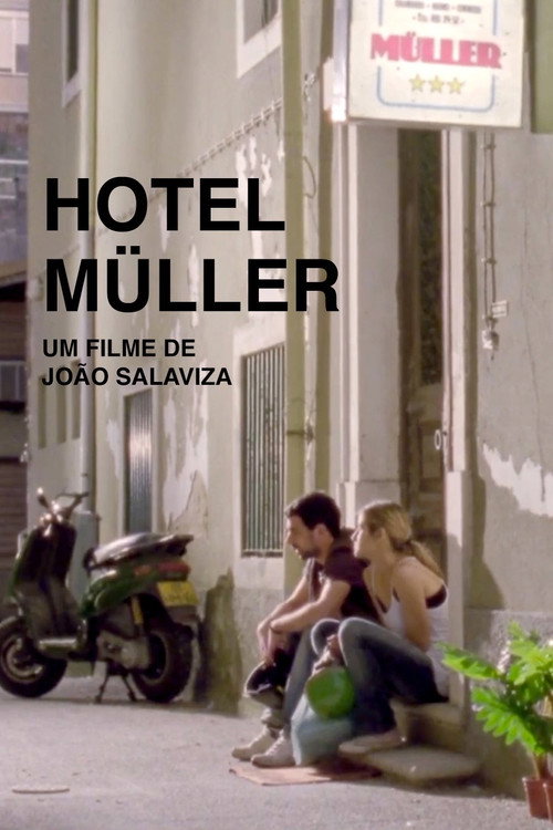 Movie poster for Hotel Müller (2010)