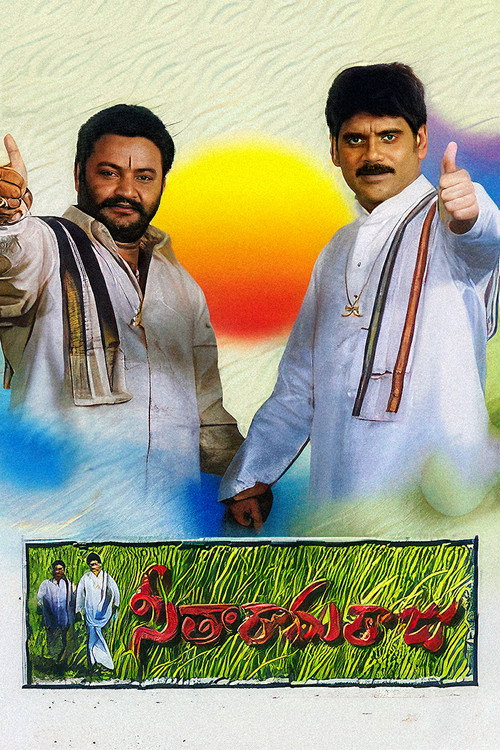 Movie poster for Seetharama Raju (1999)