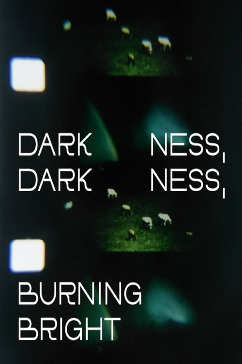 Movie poster for Darkness, Darkness, Burning Bright (2022)