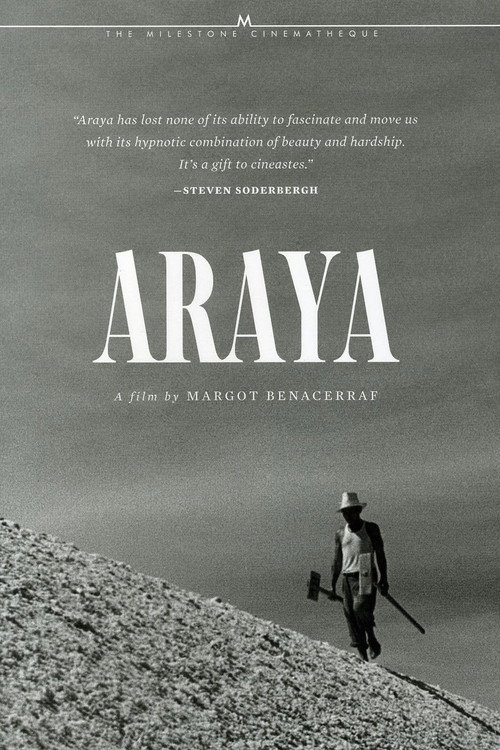Movie poster for Araya (1959)