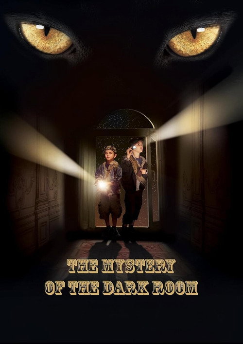 Movie poster for A Dark Room Mystery (2014)