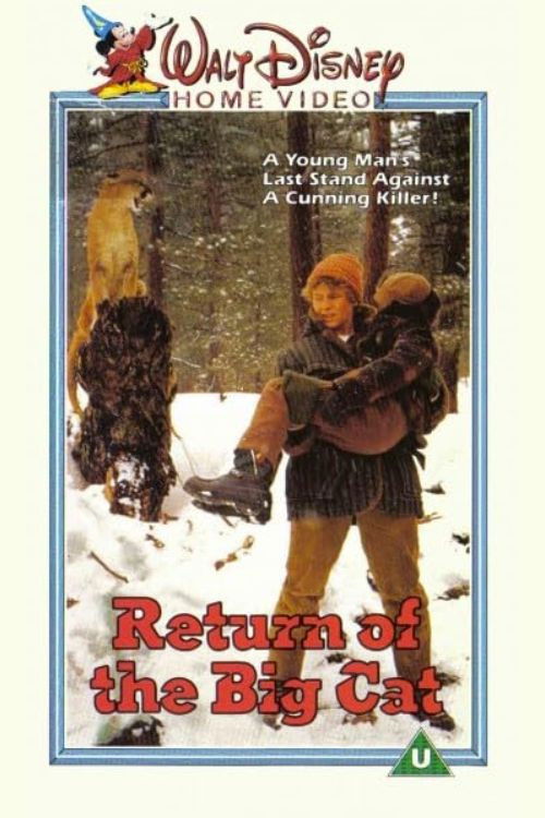 Movie poster for Return of the Big Cat (1974)