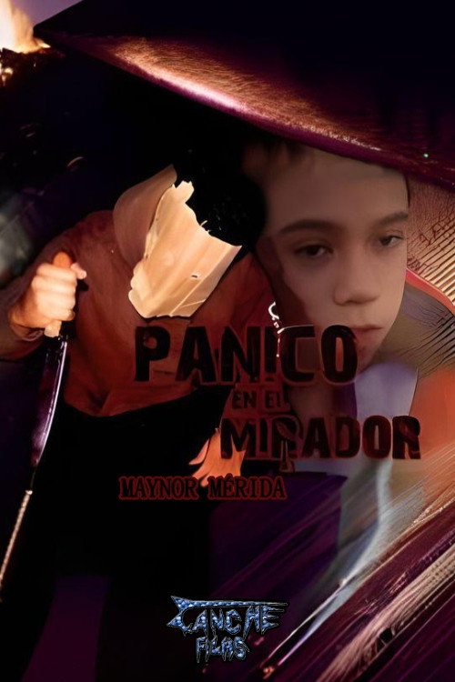Movie poster for Panic at El Mirador (2017)