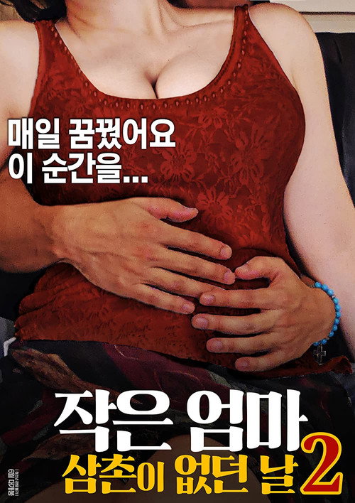 Movie poster for Little Mom 2: The Day My Uncle Was Gone (2017)