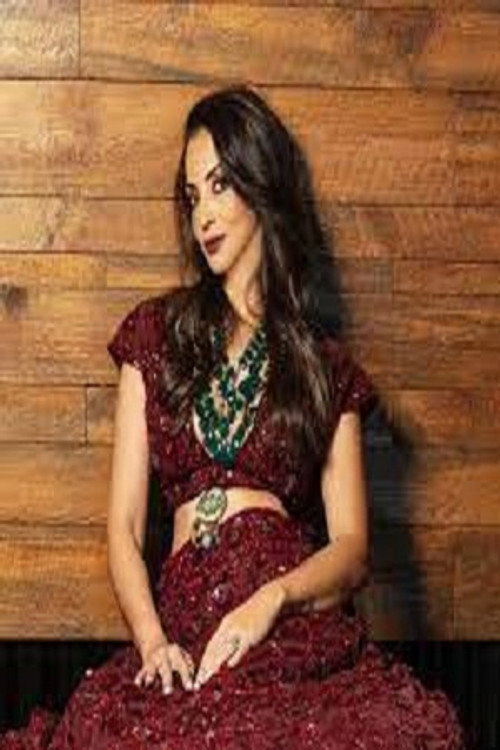 Seema Sajdeh profile