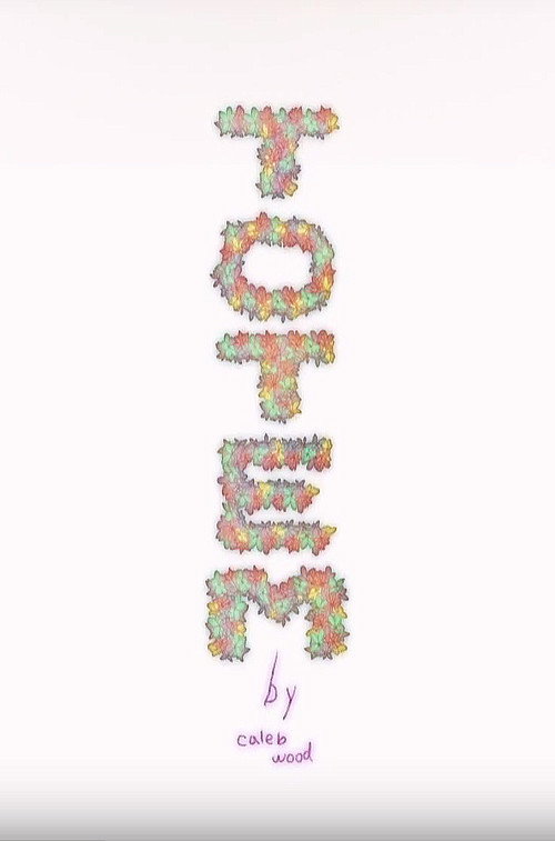 Movie poster for Totem (2014)