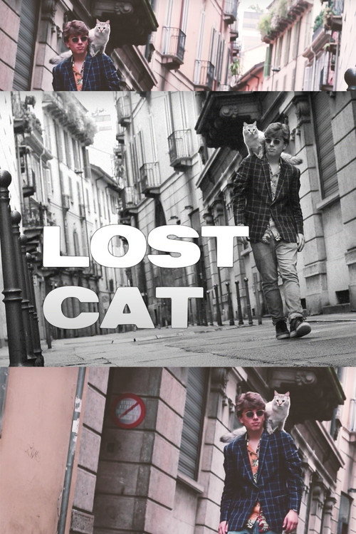 Movie poster for Lost Cat (2019)