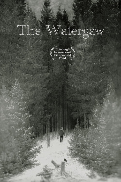 Movie poster for The Watergaw (2024)