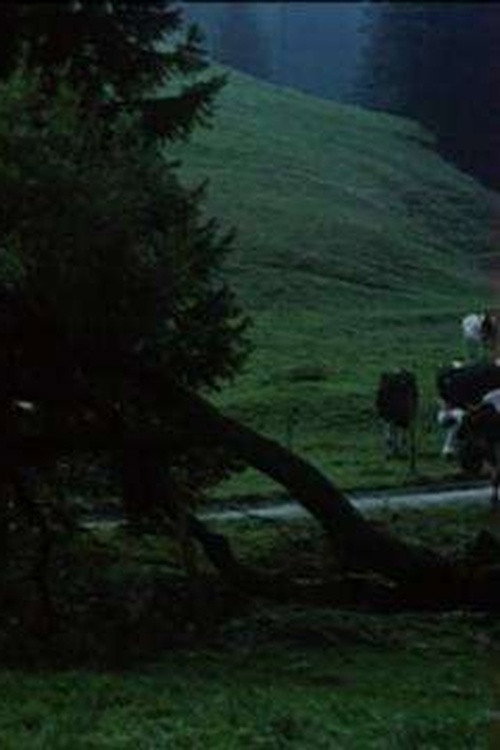 Movie poster for A Peasant Chronicle in Gruyère (1990)