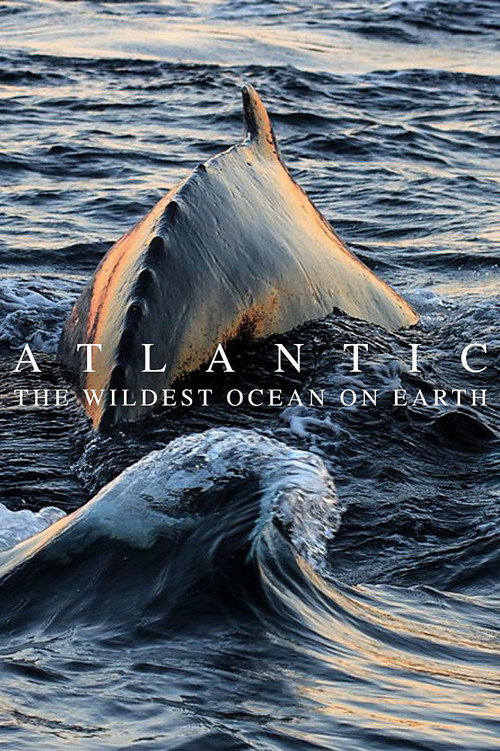 Series poster for Atlantic: The Wildest Ocean on Earth (2015)