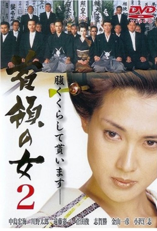 Movie poster for Don Woman 2 (2001)