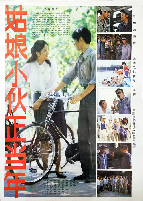 Movie poster for 姑娘小伙正当年 (1984)