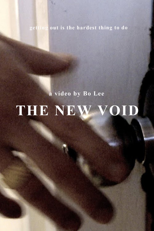 Movie poster for The New Void (2013)