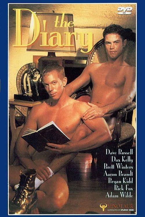 Movie poster for The Diary (1996)