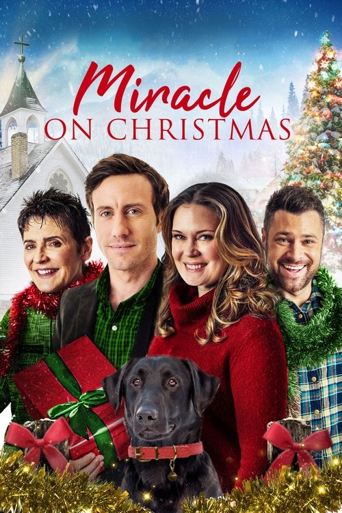 Movie poster for Miracle on Christmas (2020)