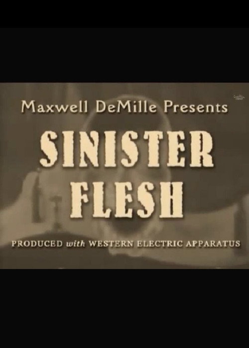 Movie poster for Sinister Flesh (1976)