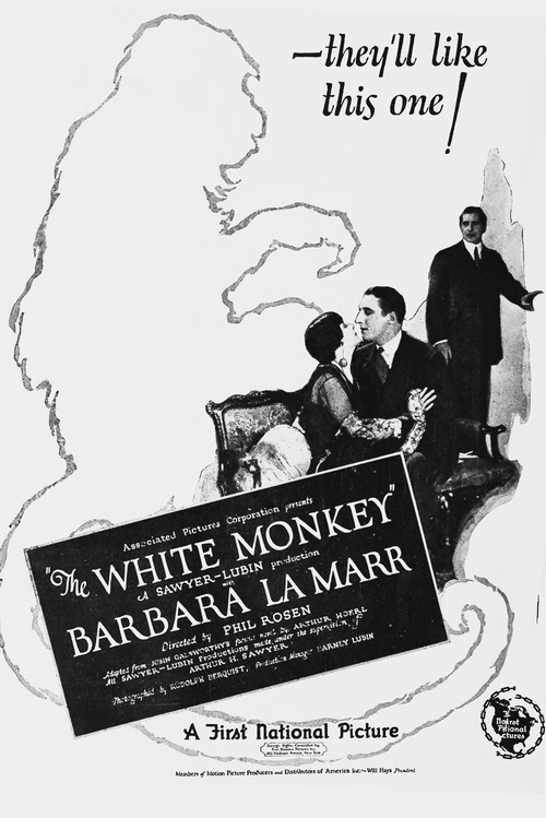 Movie poster for The White Monkey (1925)