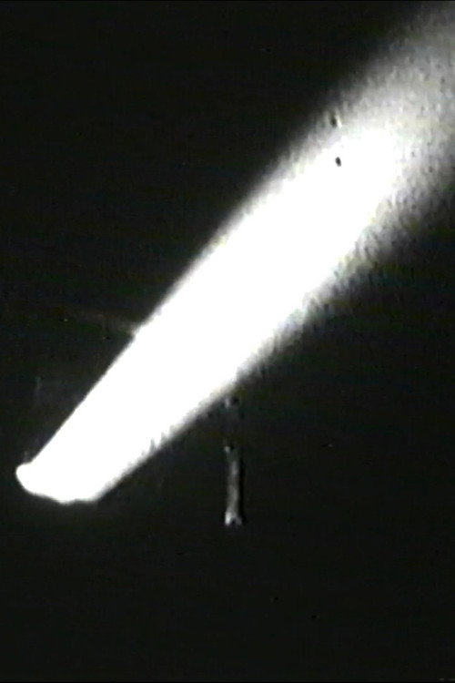 Movie poster for Audio and Visual Experiment 19 (2024)