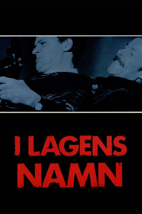 Movie poster for In the Name of the Law (1986)