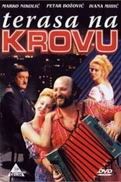 Movie poster for Terrace on the Roof (1995)